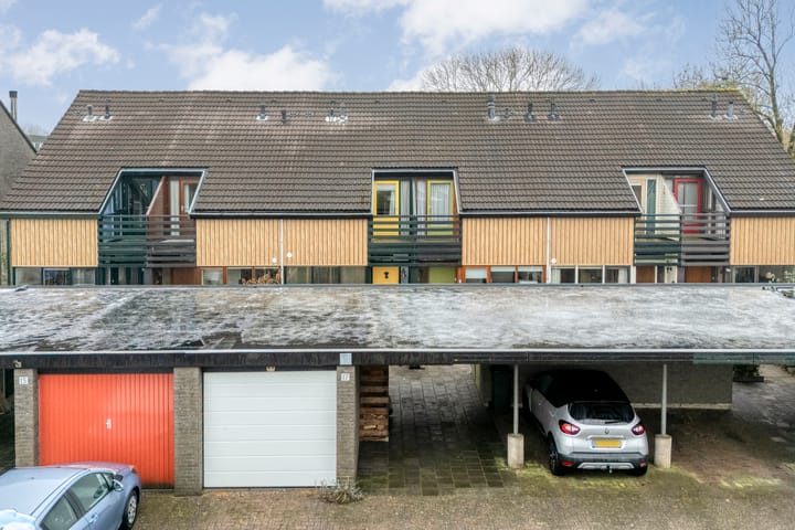 Foto 4 van Zwemmer 17