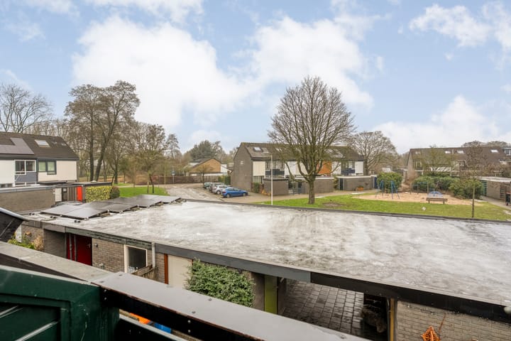 Foto 30 van Zwemmer 17