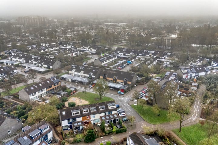 Foto 49 van Zwemmer 17