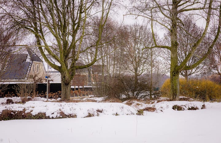 Foto 44 van Kampeerveld 16