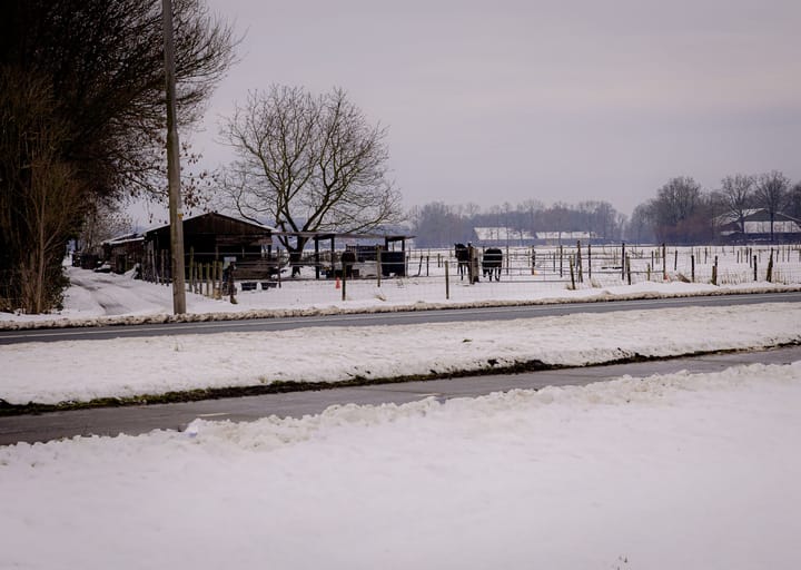 Foto 49 van Kampeerveld 16