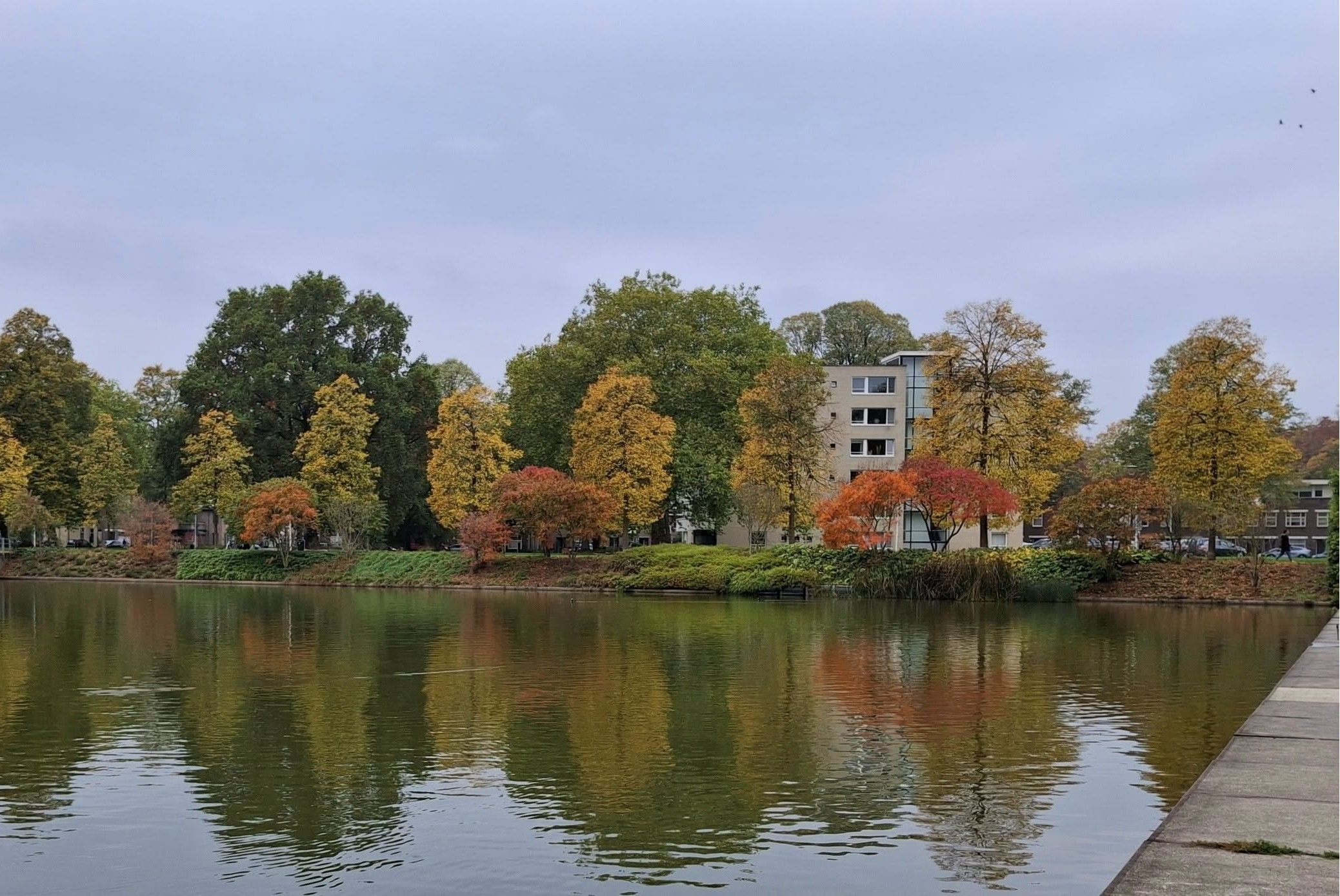 Foto 39 van Henriette Ronnerstraat 92