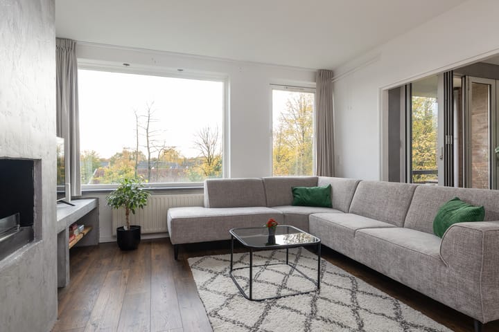 Foto 3 van Haydnstraat 37-D