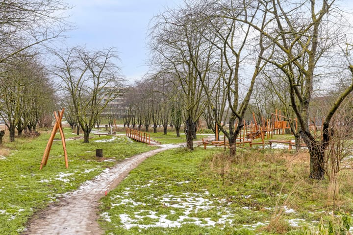 Foto 45 van Spijkstra-Bruijnhof 38