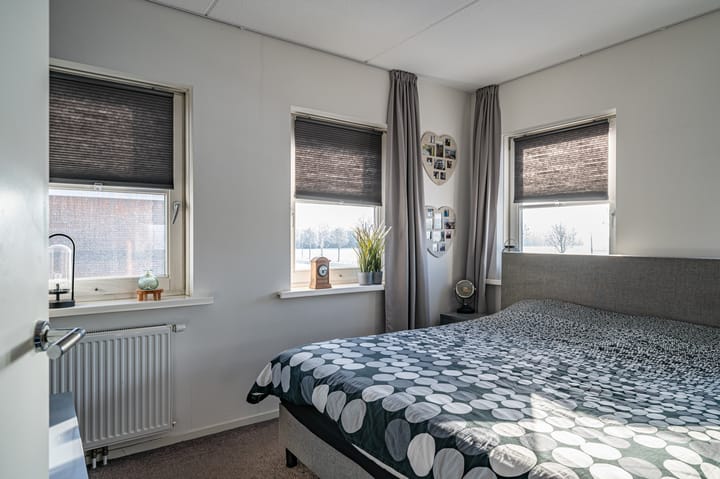 Foto 22 van Aronskelk 6