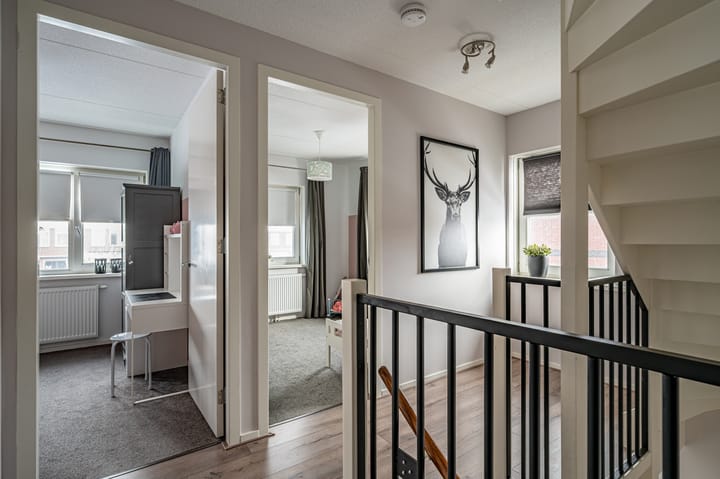 Foto 26 van Aronskelk 6