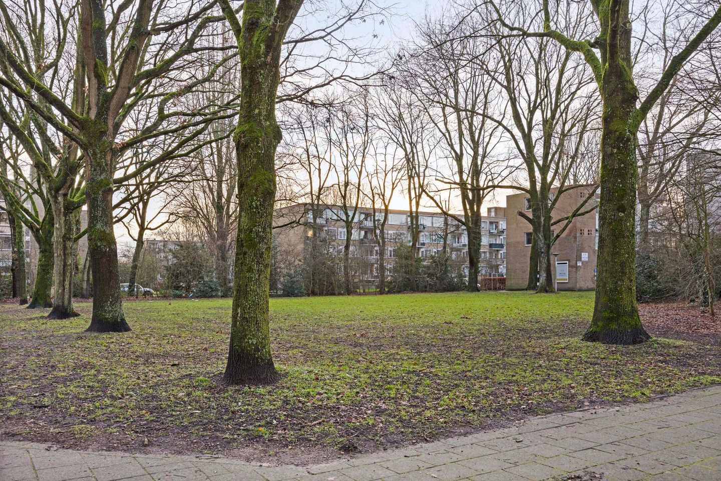 Foto 29 van Populierenlaan 503