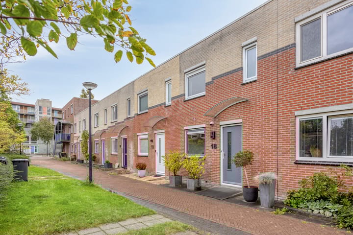 Foto 7 van Rosa Manustuin 18