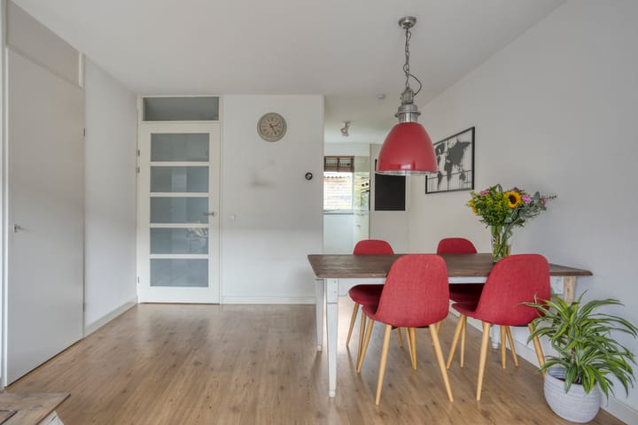 Foto 15 van Rosa Manustuin 18