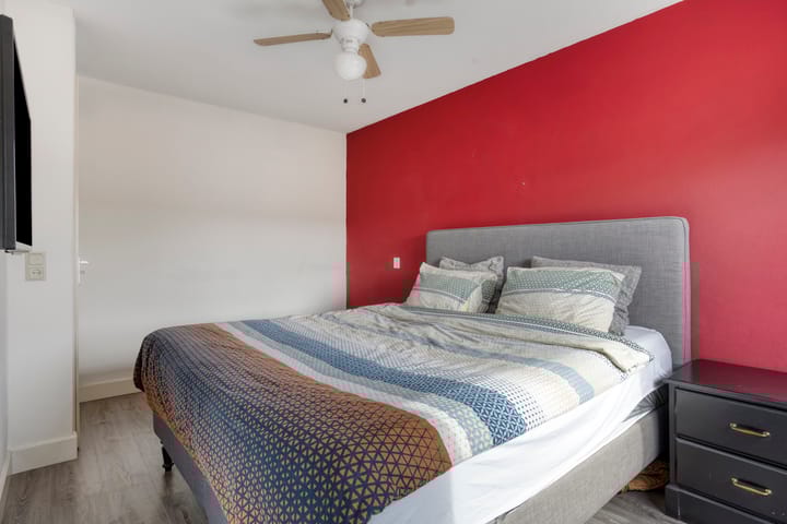 Foto 21 van Rosa Manustuin 18