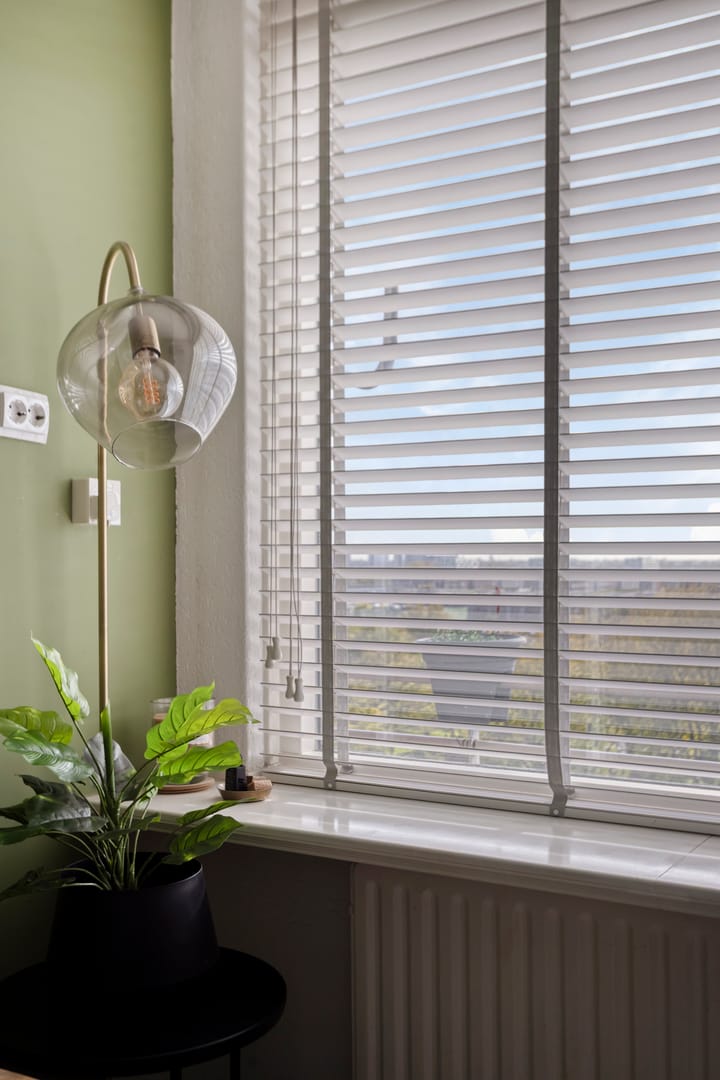 Foto 10 van Langswater 910