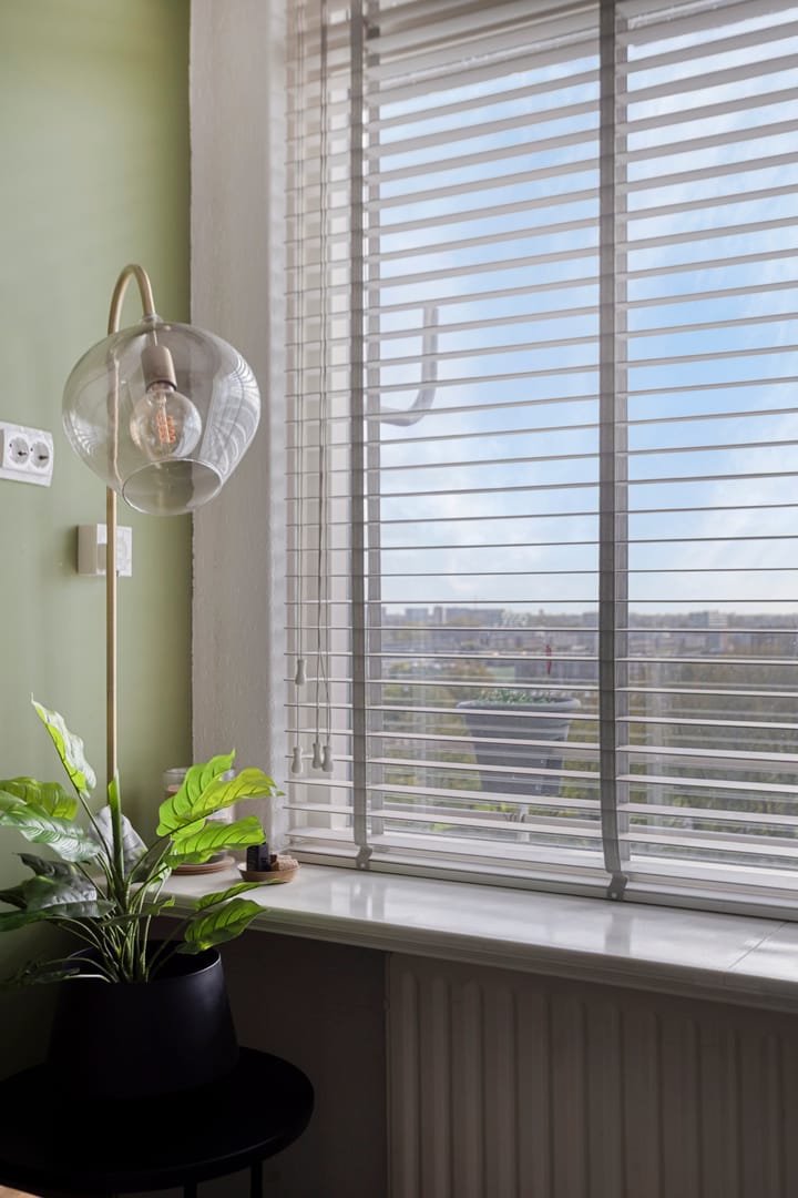 Foto 11 van Langswater 910