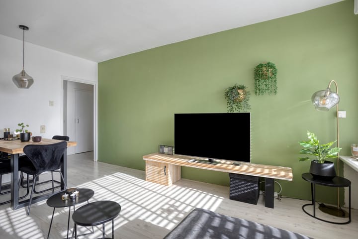 Foto 14 van Langswater 910