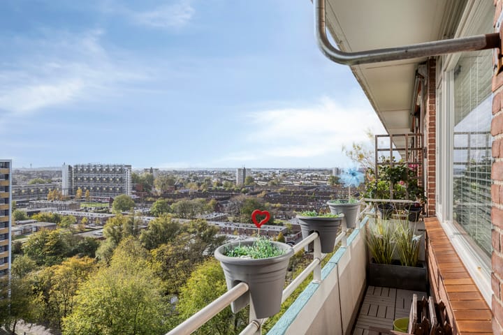 Foto 3 van Langswater 910