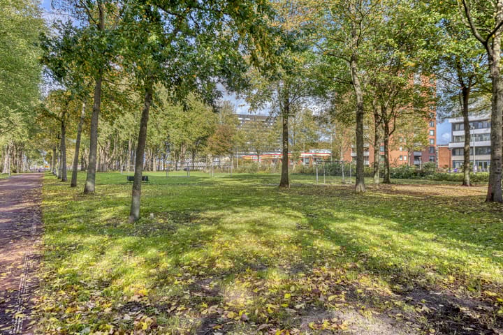 Foto 37 van Langswater 910