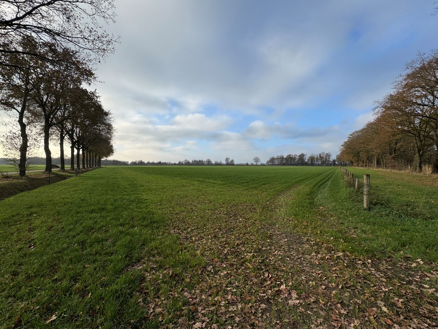 Bekijk foto 4 van Groespeelweg