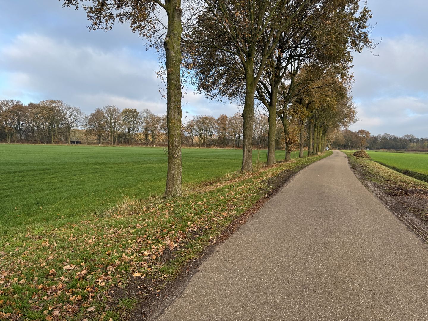Bekijk foto 5 van Groespeelweg