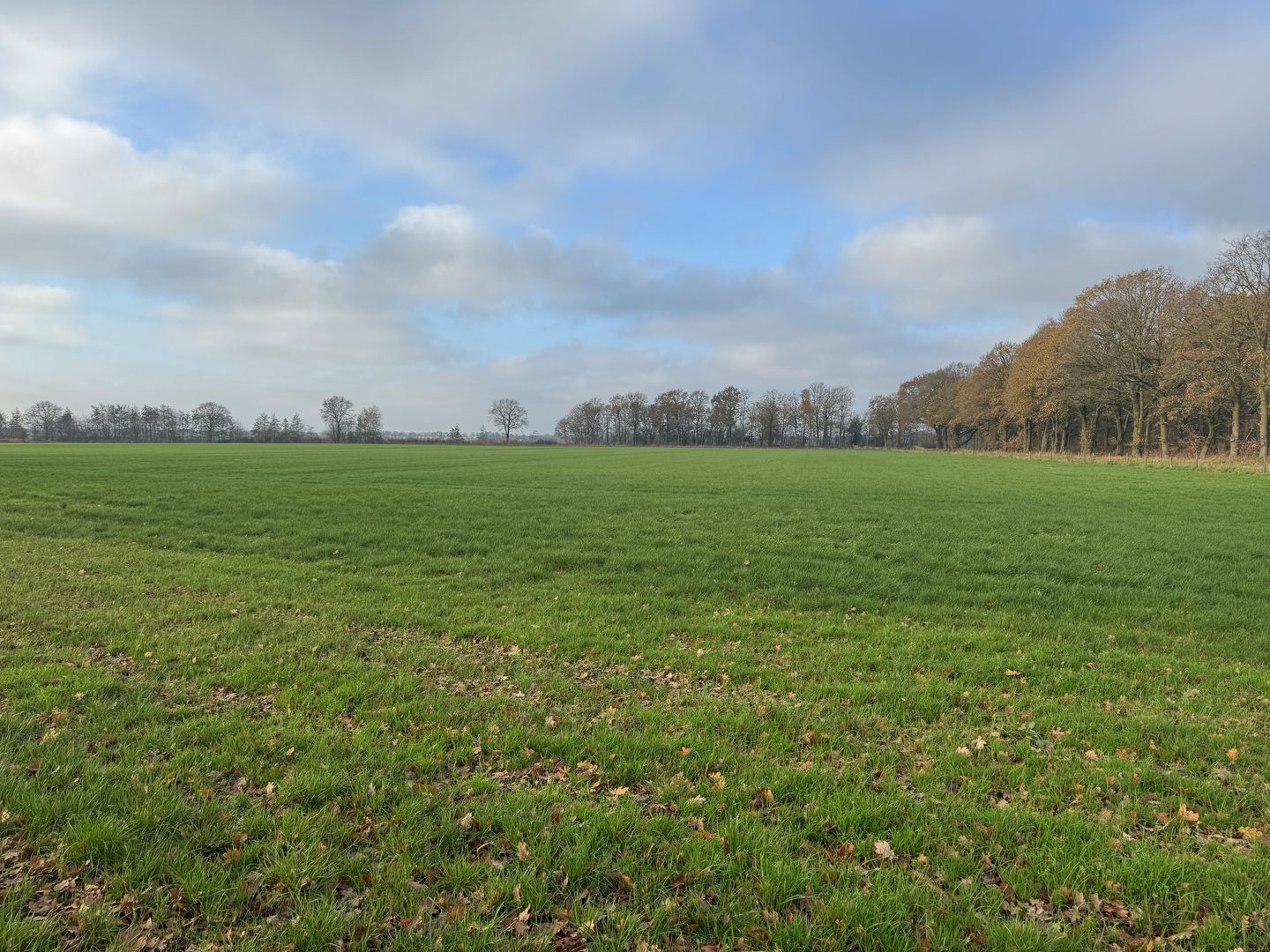 Bekijk foto 2 van Groespeelweg