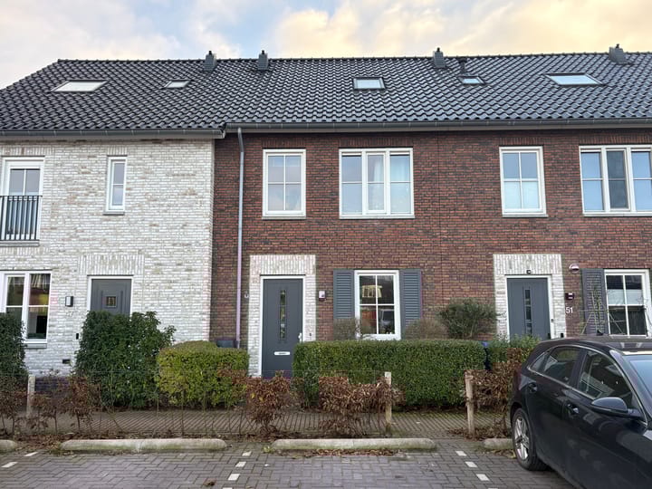 Foto 1 van Tureluur 49