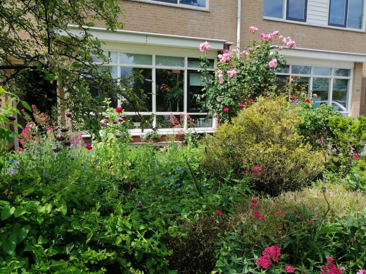 Foto 4 van Frederik van Eedenstraat 11