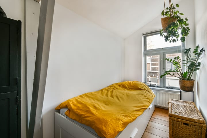 Foto 27 van Jan van der Heijdenstraat 9