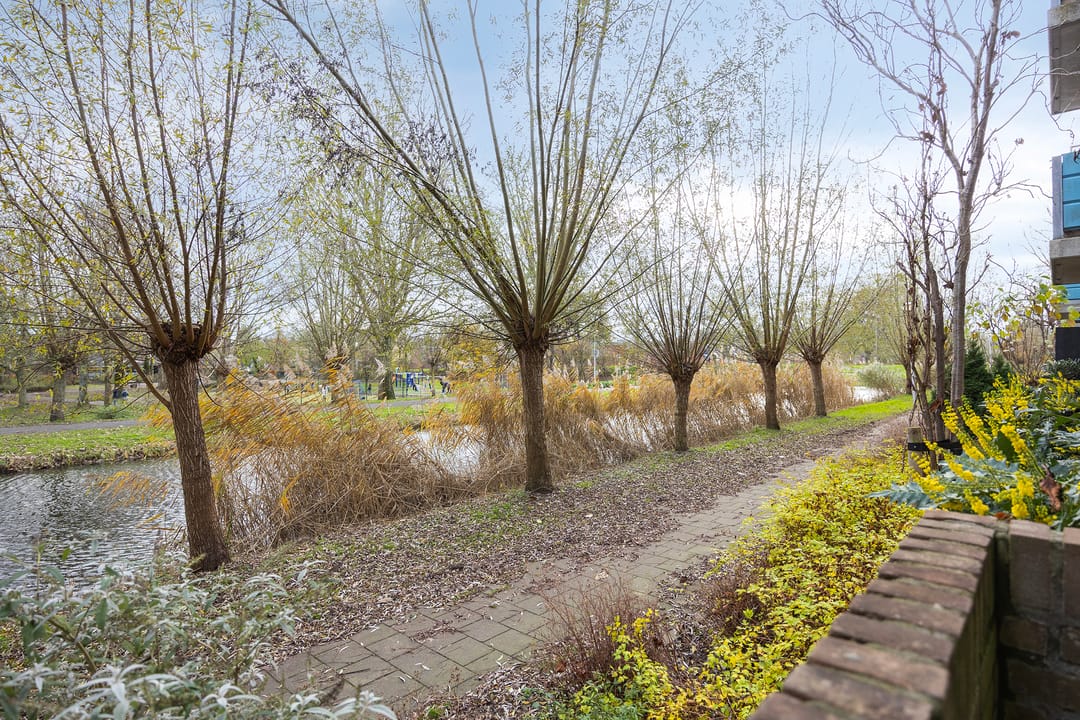 Foto 11 van Eikenhorst 279