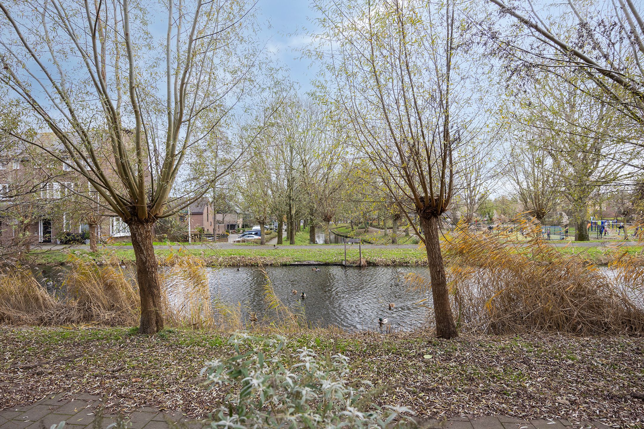 Foto 12 van Eikenhorst 279