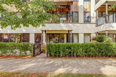 undefined main image