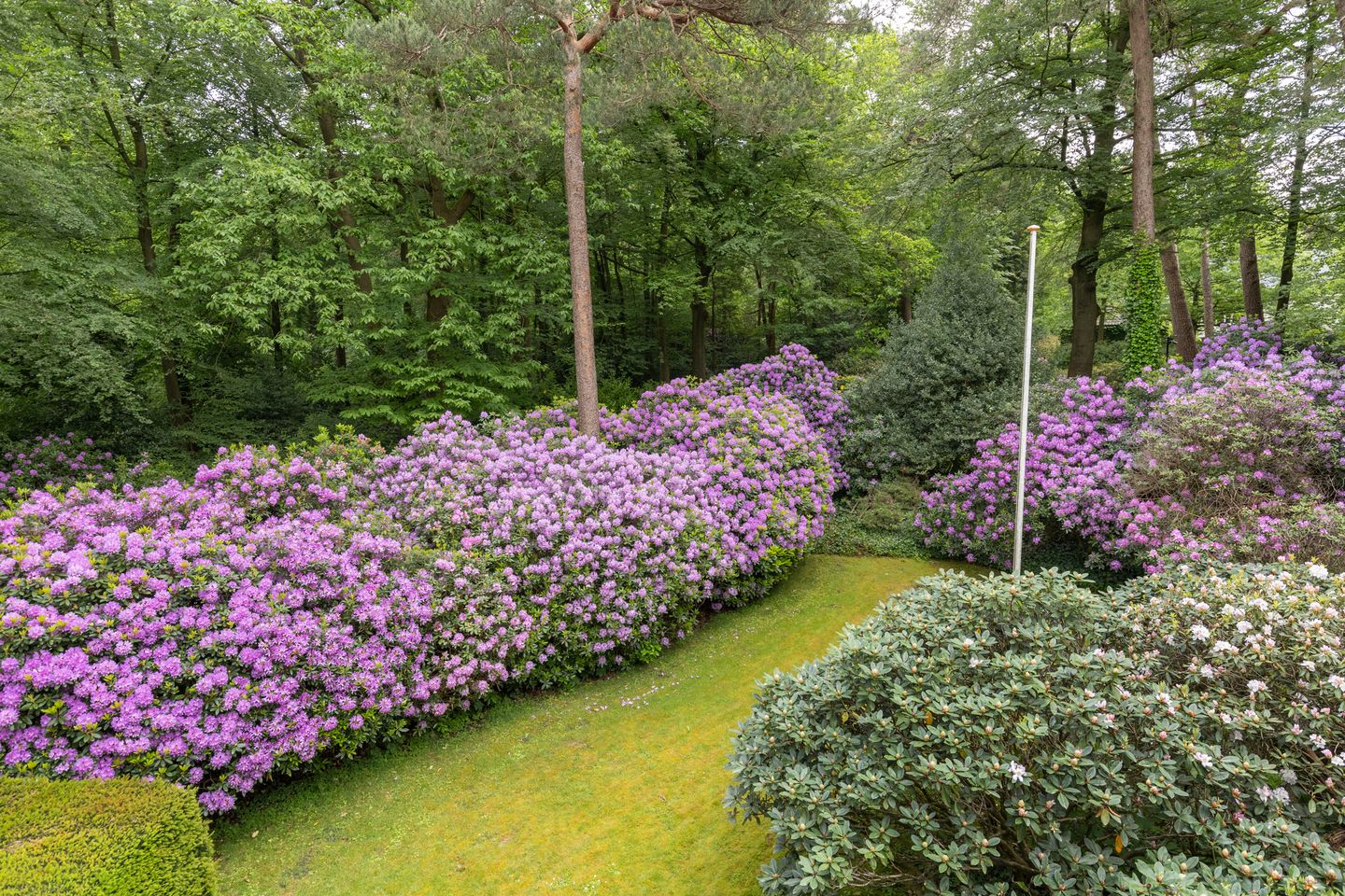 Photo 29 of Soestdijkseweg Noord 423