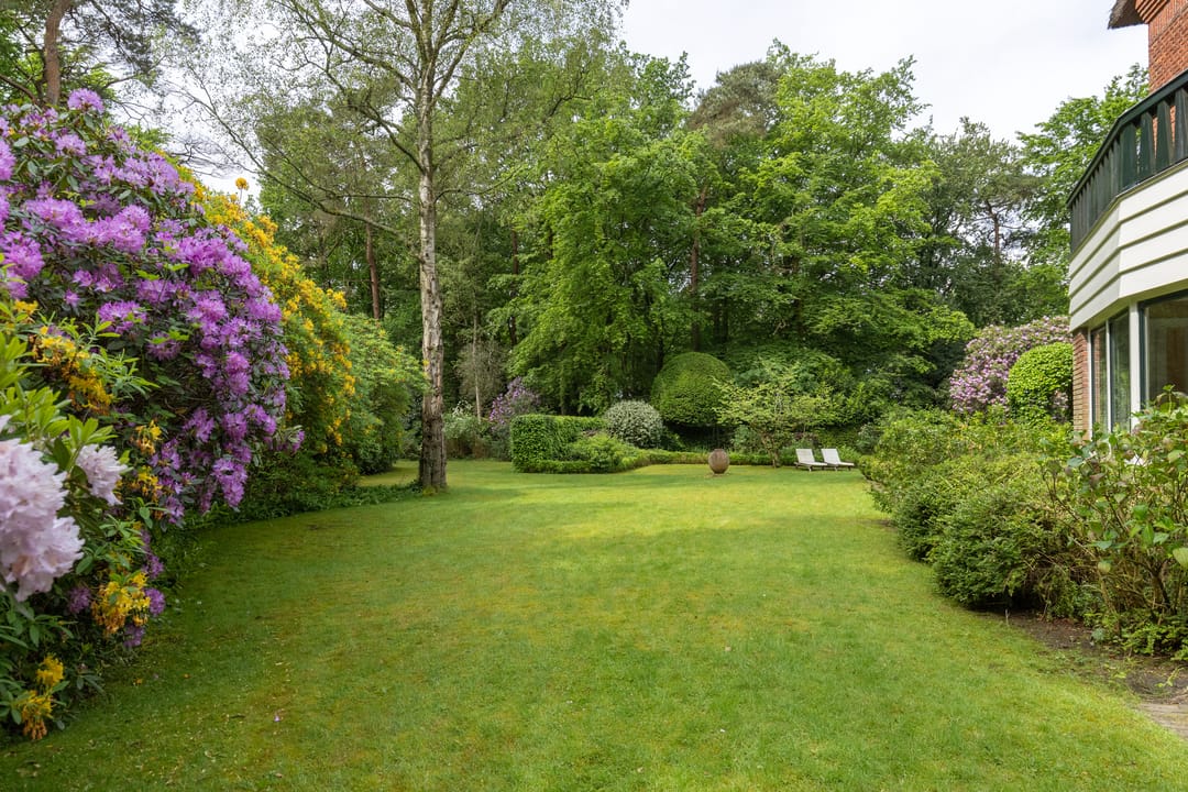 Photo 41 of Soestdijkseweg Noord 423