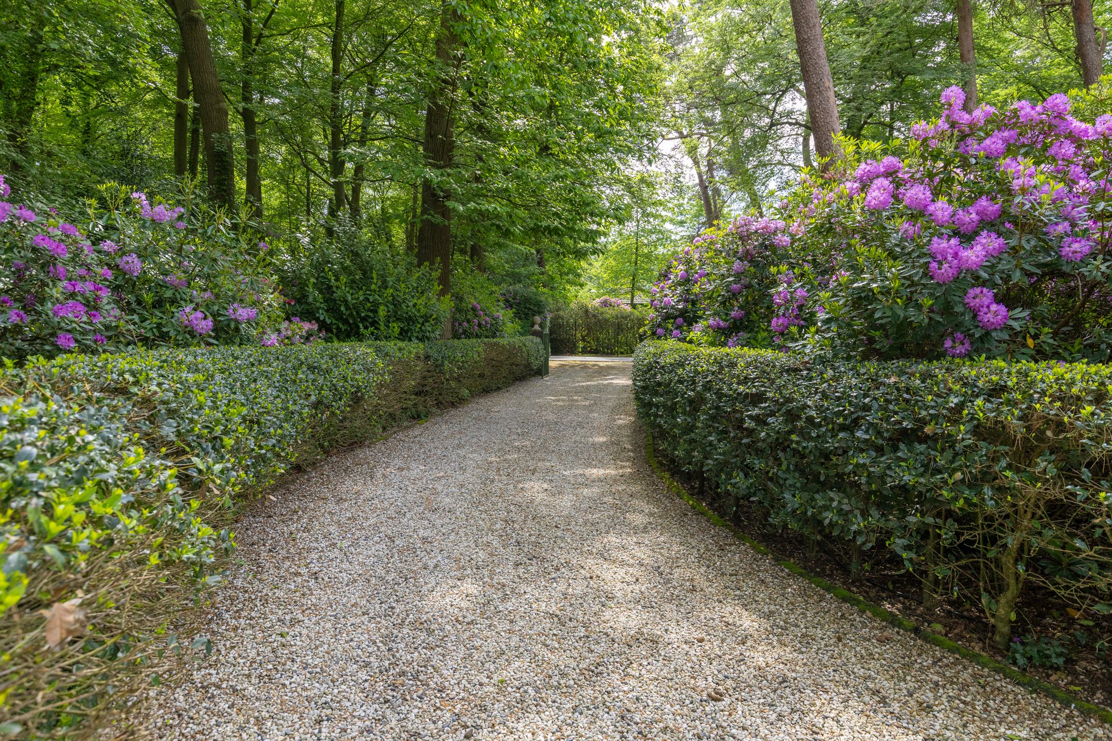 Photo 51 of Soestdijkseweg Noord 423