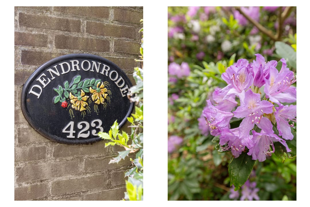 Photo 52 of Soestdijkseweg Noord 423