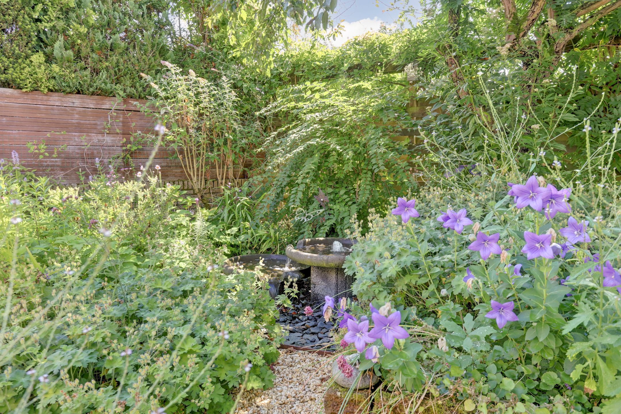 Foto 39 van Egmondstraat 6