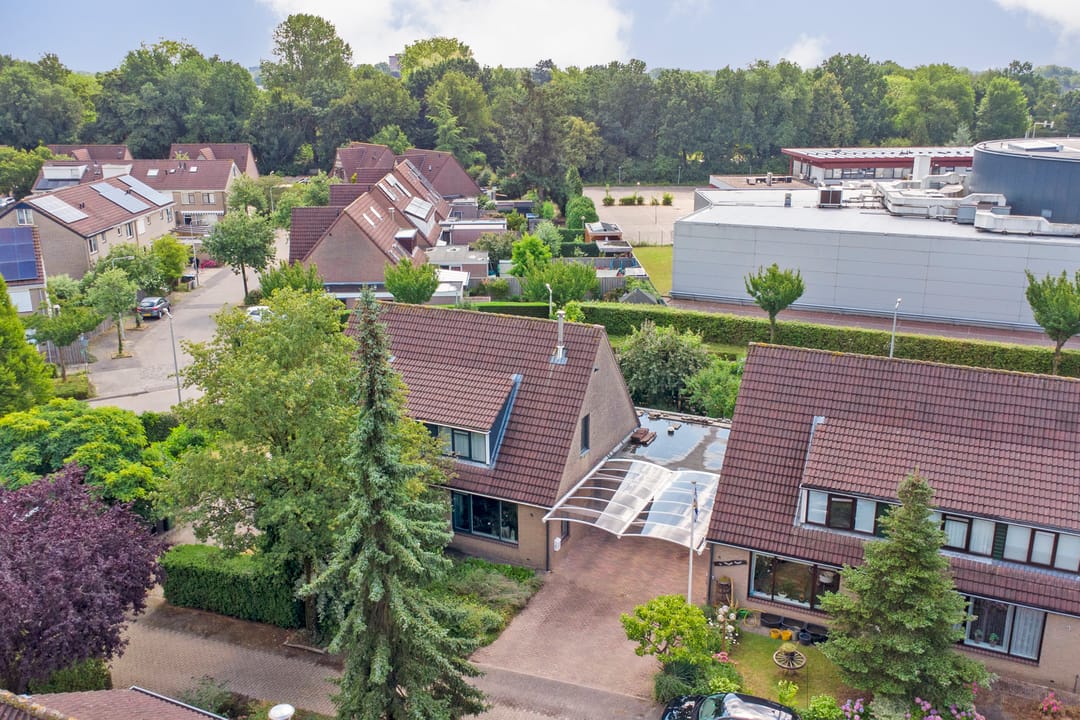 Foto 43 van Egmondstraat 6