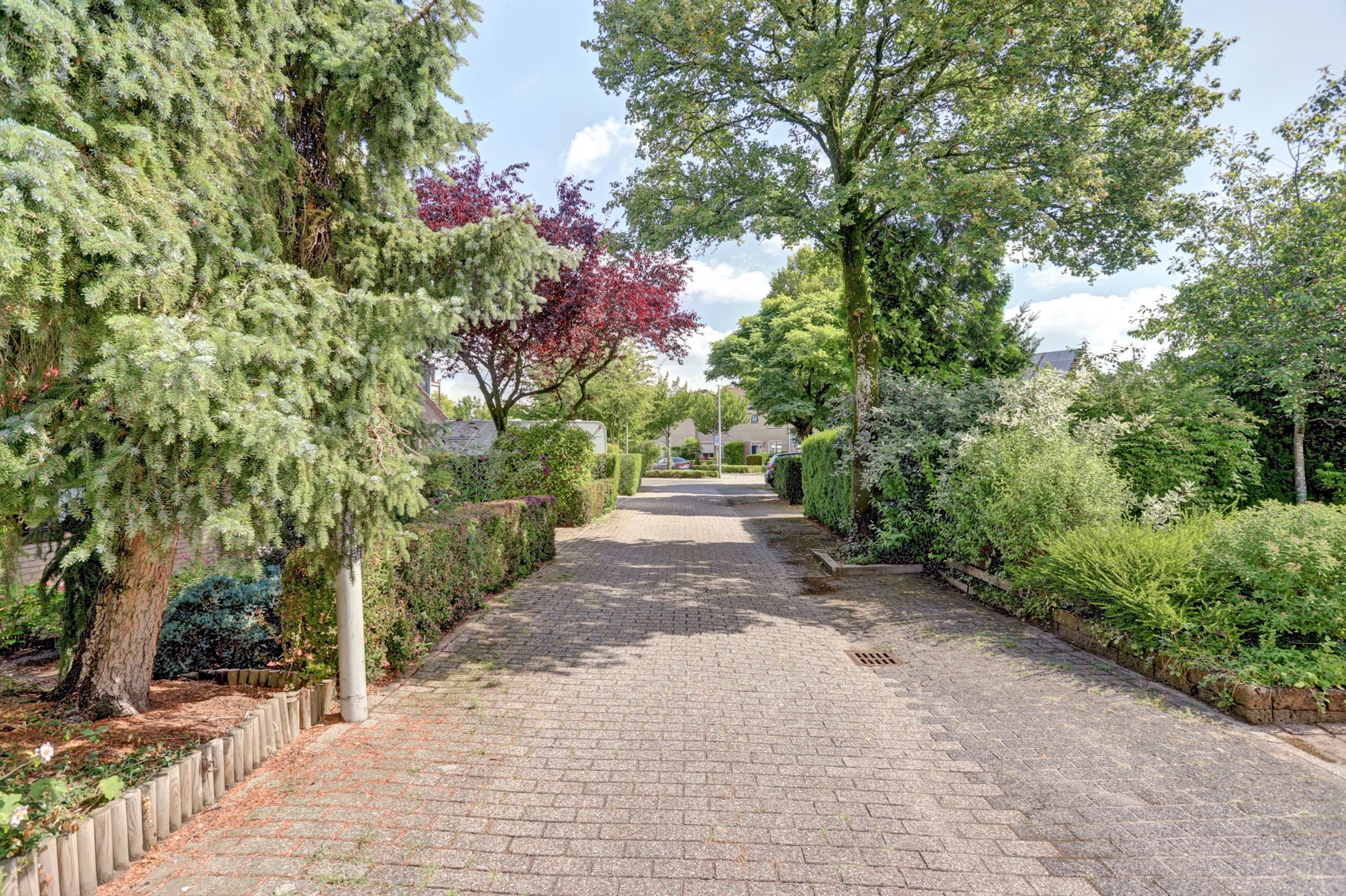 Foto 48 van Egmondstraat 6