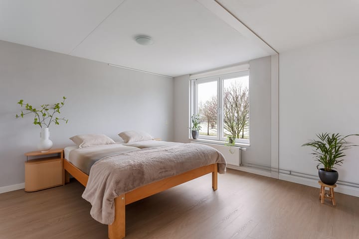 Foto 11 van Liverpoolstraat 50