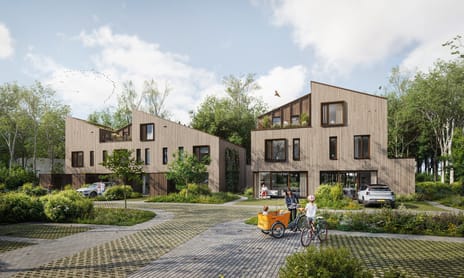 Duinhout fase 3 main image