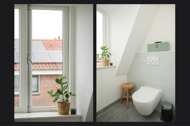 Foto 25 van Alexanderstraat 2