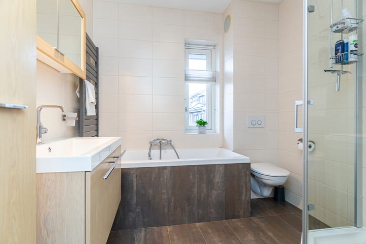 Foto 4 van Bruinvis 16