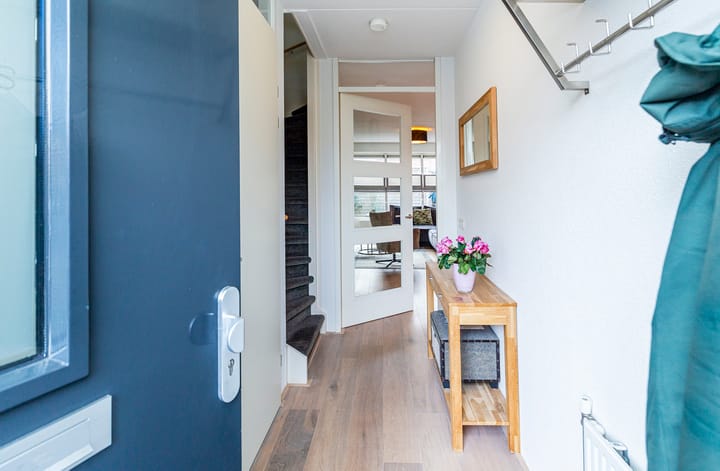 Foto 5 van Bruinvis 16