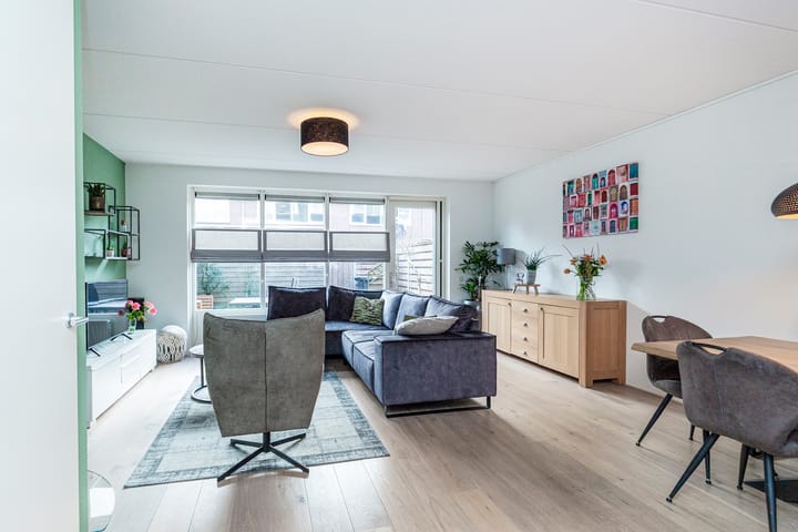 Foto 6 van Bruinvis 16