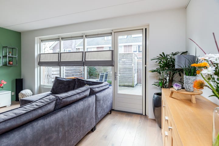 Foto 12 van Bruinvis 16