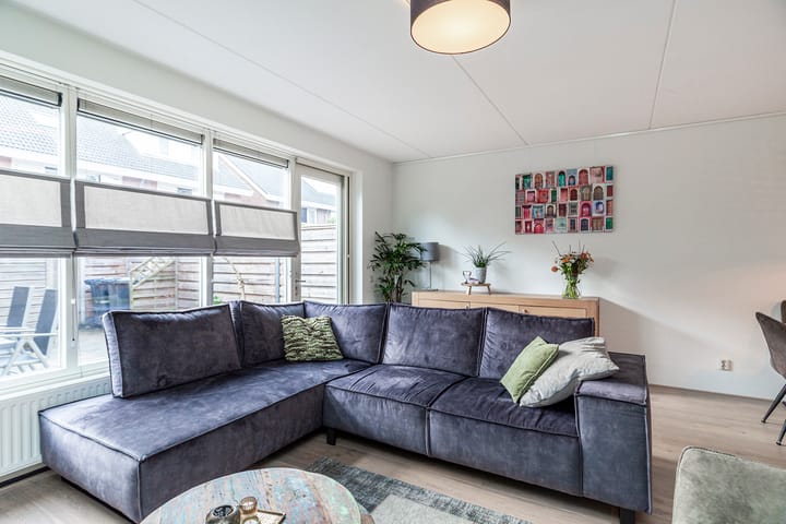 Foto 14 van Bruinvis 16