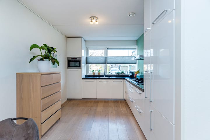 Foto 16 van Bruinvis 16