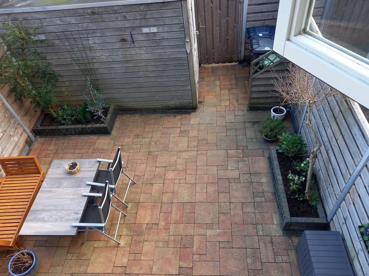 Foto 31 van Bruinvis 16