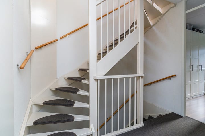 Foto 41 van Bruinvis 16