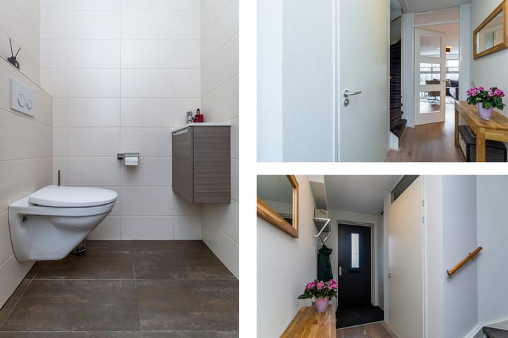 Foto 49 van Bruinvis 16