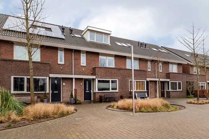 Foto 50 van Bruinvis 16