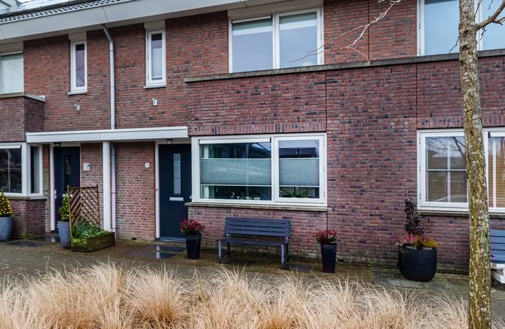 Foto 51 van Bruinvis 16