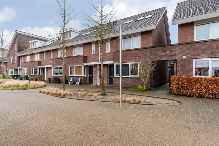 Foto 52 van Bruinvis 16